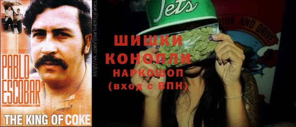 трава Осинники