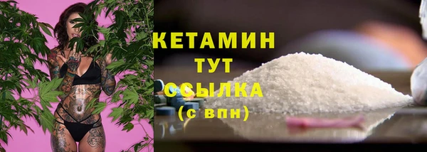 трава Осинники