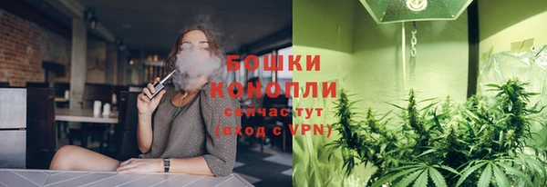 трава Осинники