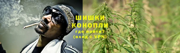 гидра Осташков