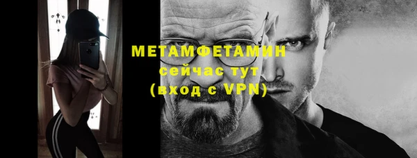 трава Осинники