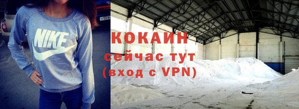 трава Осинники