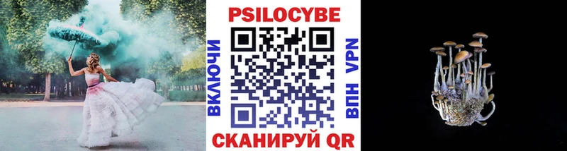 блэк спрут ТОР  Белый  Псилоцибиновые грибы прущие грибы 